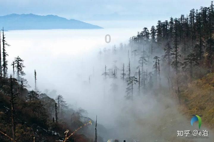 拯救可爱小怪