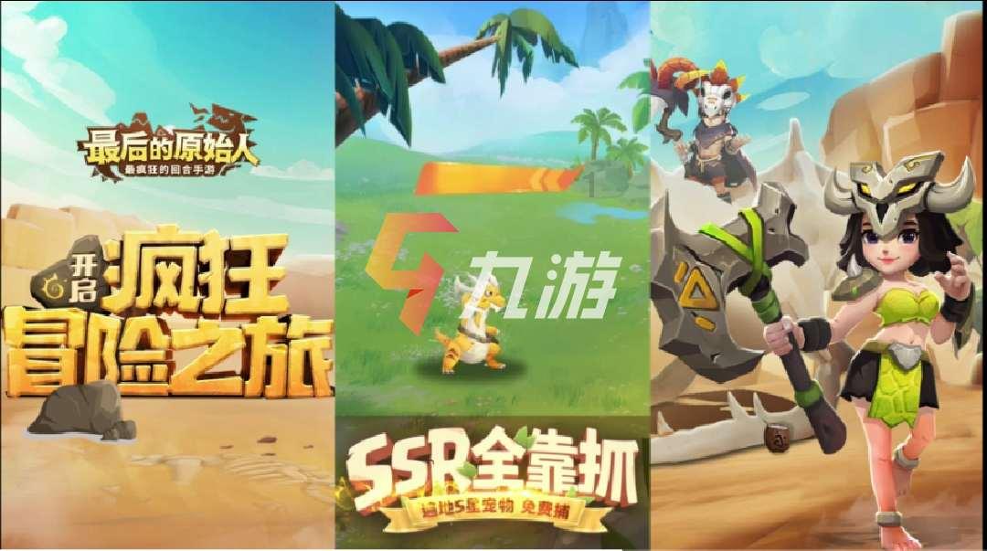 完美的收藏品